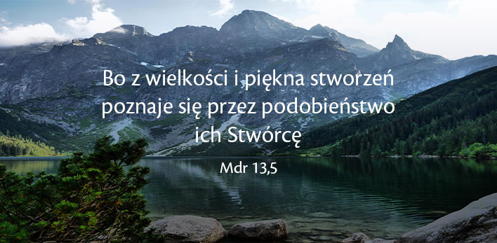 Wakacje