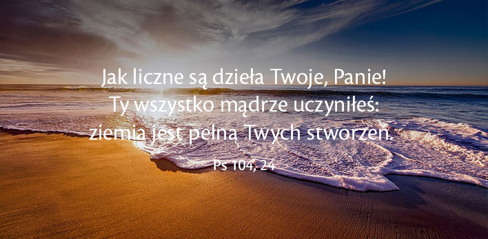 Jak liczne są dzieła Twoje, Panie! Ty wszystko mądrze uczyniłeś: ziemia jest pełna Twych stworzeń. Ps 104, 24